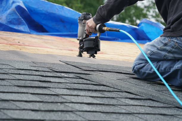 Best Roof Gutter Cleaning  in Cambridge, MD